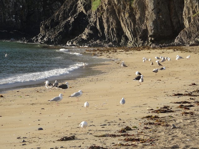 Plage du Moulin