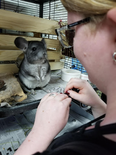 Andrews Green Ark Pet Store - Thumbnail
