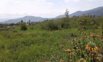Photos of Cerveza Caran