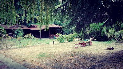 Photos of Konna baza Albena