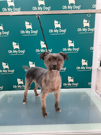 Hotel para perros Oh My Dog! Peluquería, Boutique y Guardería Canina y Felina