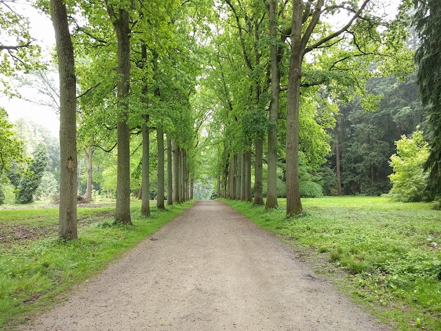 Arboretum Tervuren