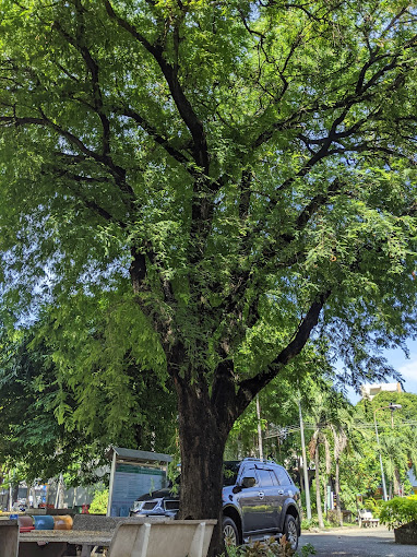 Công An Phường Tăng Nhơn Phú A