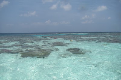 Photos of Asdu
