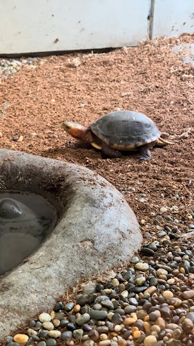 National Aquarium of New Zealand - Napier