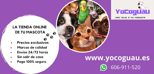 Yocoguau