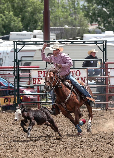 Swift Current Agricultural and Exhibition Association Gallery - Canada