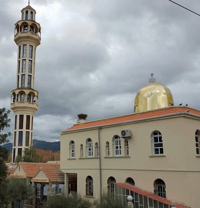 Photos of مسجد العتيق وادي الماء