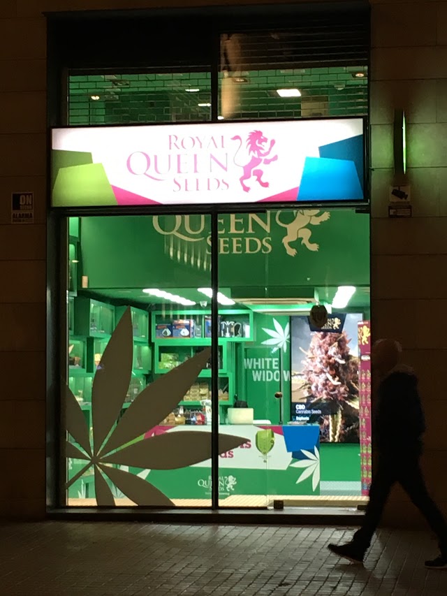 Royal Queen Seeds Store