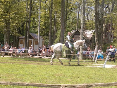 The Great Lakes Medieval Faire