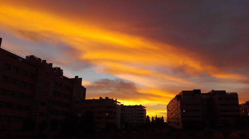 Montecarmelo - Visual