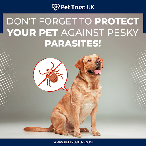 Pet Trust Uk Gallery - United Kingdom