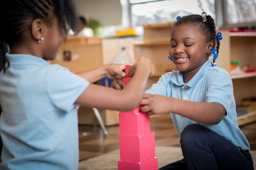 Macomb Montessori Academy- Tuition Free ( Public School)