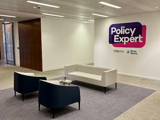 Policy Expert - Visual