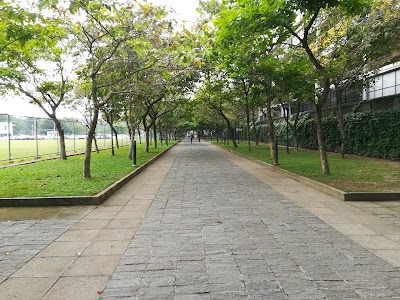 Photos of Thurstan College Cricket Grounds