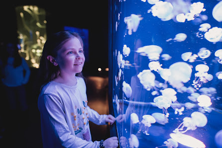 Aquarium du Québec 1675 Av. des Hôtels, Québec, QC G1W 4S3, Canada