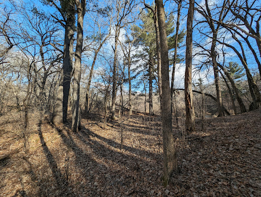 Otter Creek Hiking Area - Thumbnail