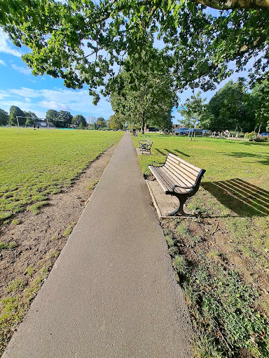 Lindfield Common - Visual