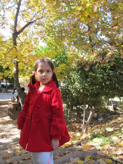 Photos of Maral store