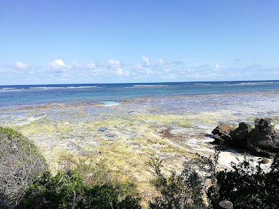 Photos of Bonde Cottage