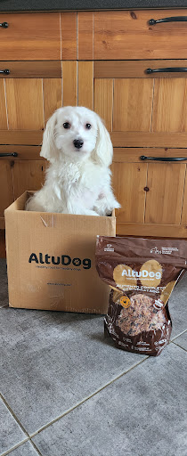 Altudog - Visual