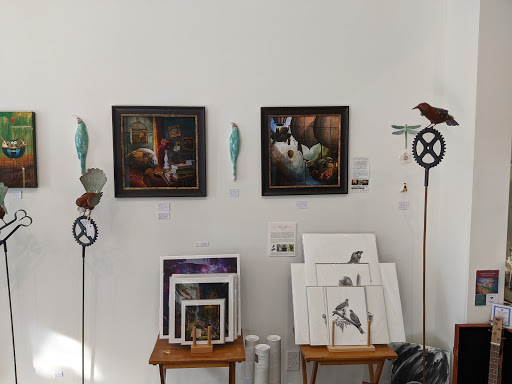 Kotare Art Studio and Gallery - Thumbnail