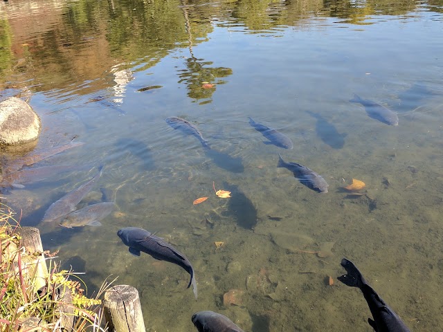 渉成園 (Shōsei-en Garden (Kikoku-tei))