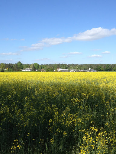 Kappesgärten - Visual