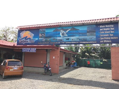 Photos of Dolphin Tours