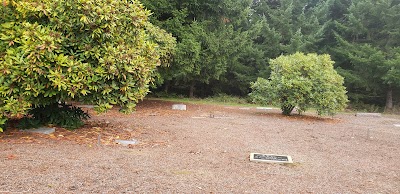 Mountain view cemetery