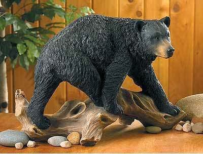 Wild Wings Art