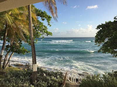 Photos of Sunny Skies at Silver Point