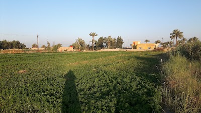 Photos of Presidential region in Radwaniyah