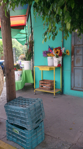 Floreria Saucito