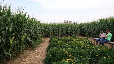 Photos of Maislabyrinth Wolfenhausen