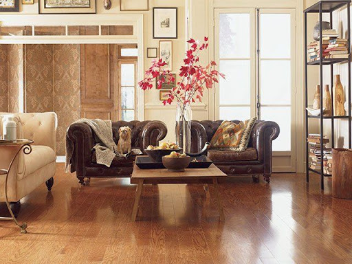 ProGrade Movers - Visual