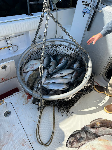 Salmoncrazy Adventures - Thumbnail