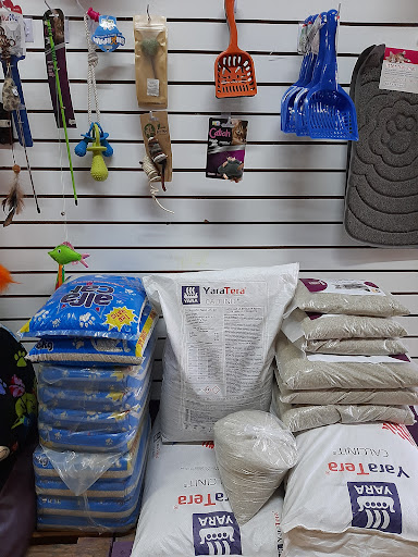 SPA Y PET SHOP MASCOTILANDIA Gallery - Mexico