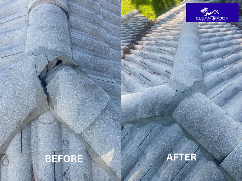 Florida Clean Roof