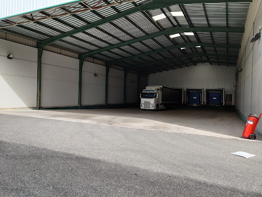 Logistica 9 - Visual