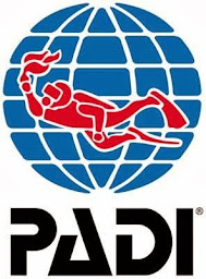 Photo n°22 de Calvi Epic Plongée à Calvi (Club de plongée)