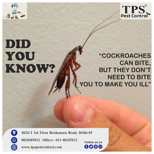Gallery image 358