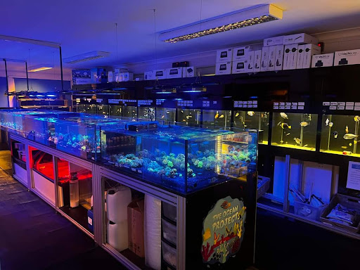 Vision Aquatics - Thumbnail
