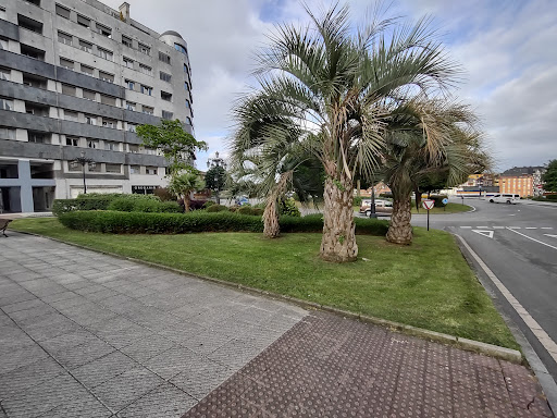 Plaza Alfonso Camín