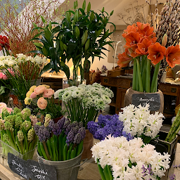 Photo n°7 de Flor decos à Neuilly-Plaisance (Fleuriste)
