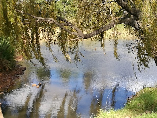 Delta Park