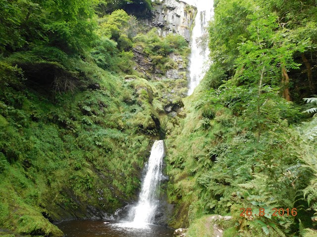 Y Berwyn National Nature Reserve