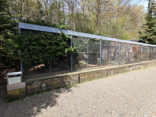 Vogelvolieren im Kur Park - Thumbnail