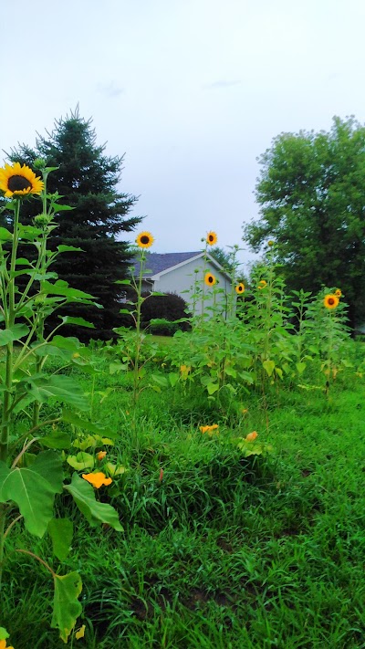 Candlewick Lake Association