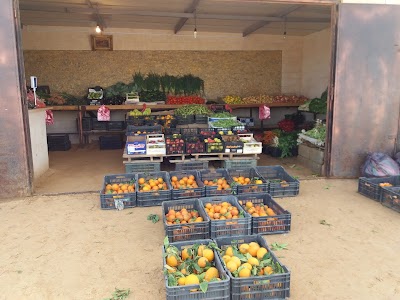 Photos of محل خضروات طازجة